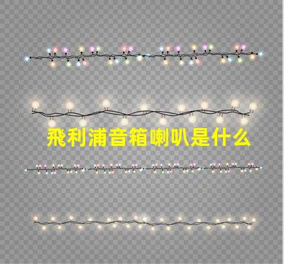 飛利浦音箱喇叭是什么品牌的 seoul燈珠是什么品牌